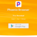 Phoenix Browser App Review