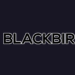 Blackbird