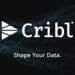 Cribl, a data observability business, has raised $150 million