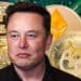 Elon Musk Is Being Sued For $200 Billion As Dogecoin Lawsuit Expands