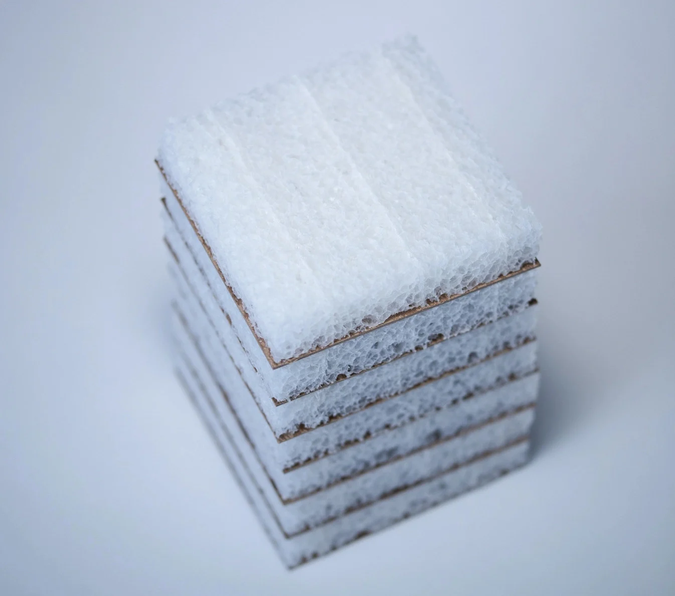 Cruz Foam’s chitin-based packaging brings in $18M as industries scramble to go green