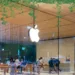 Apple-and-Sustainability-What-Does-It-Mean-and-Can-Others-Follow-appedus