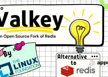 The-rationale-behind-the-support-from-AWS-Google-and-Oracle-for-the-Valkey-Redis-fork-appedus