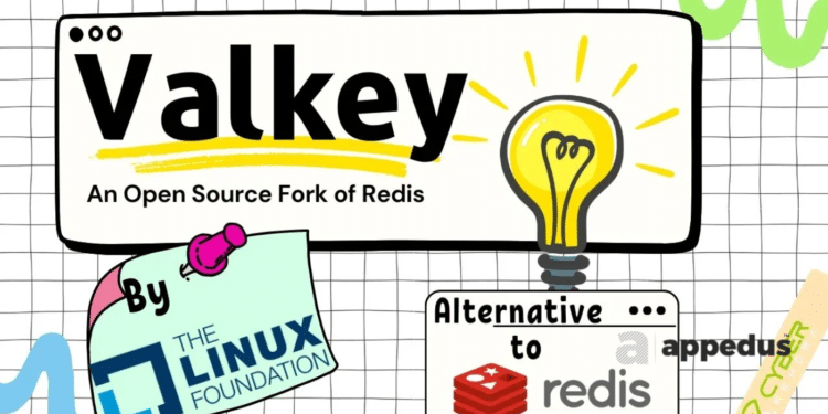 The-rationale-behind-the-support-from-AWS-Google-and-Oracle-for-the-Valkey-Redis-fork-appedus